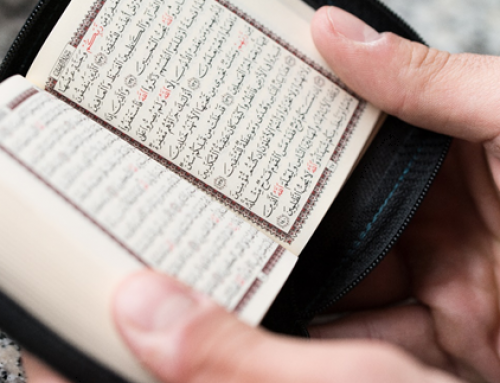 How to Learn the Arabic Language to Understand the Quran